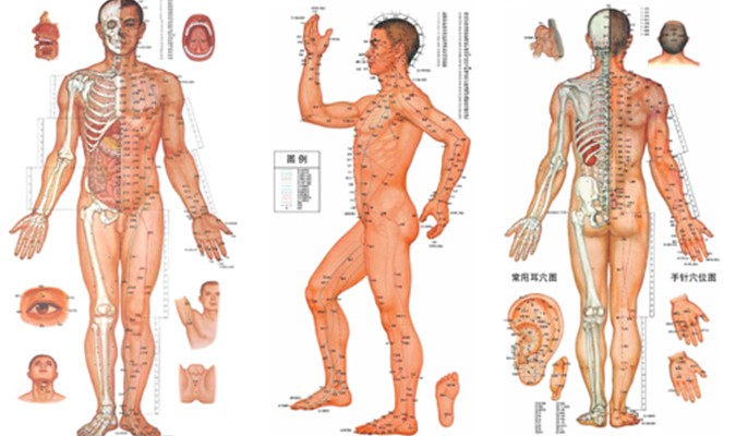 Học thuyết kinh lạc